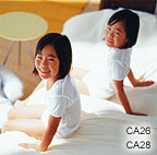 CA26-29